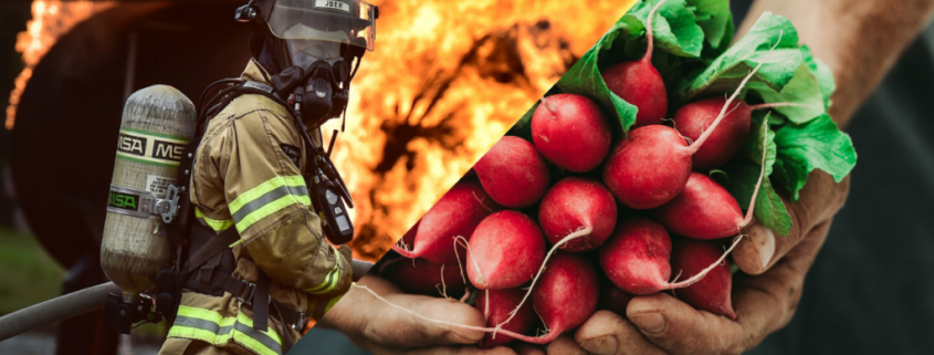 crisis life cycle - from firefighter to gardener